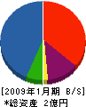 石賢興業 貸借対照表 2009年1月期