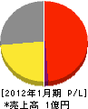 入江電機工業所 損益計算書 2012年1月期