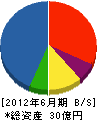 友菱 貸借対照表 2012年6月期