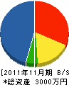 カメノ隆石材 貸借対照表 2011年11月期