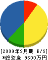 杉田産業 貸借対照表 2009年9月期