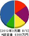 渋田工務店 貸借対照表 2012年3月期