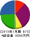 大塚商事 貸借対照表 2013年1月期