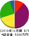赤津組 貸借対照表 2010年12月期