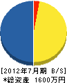 亜東 貸借対照表 2012年7月期