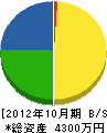 田島組 貸借対照表 2012年10月期