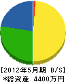 藤本海事 貸借対照表 2012年5月期