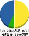 池田電工 貸借対照表 2012年3月期