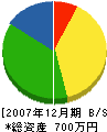 磯崎塗装 貸借対照表 2007年12月期