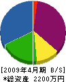 タシロ 貸借対照表 2009年4月期
