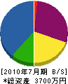 渡辺電機サービス 貸借対照表 2010年7月期