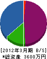 新栄電気水道工業 貸借対照表 2012年3月期