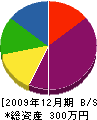 原田塗装工業 貸借対照表 2009年12月期