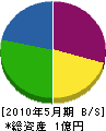 西川組 貸借対照表 2010年5月期