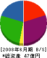梅田興産 貸借対照表 2008年6月期
