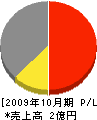 九州電設 損益計算書 2009年10月期