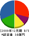 ホシザキ南九 貸借対照表 2008年12月期