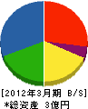 大雄電工 貸借対照表 2012年3月期