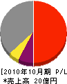 田中組 損益計算書 2010年10月期