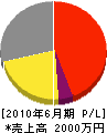 豊島工業 損益計算書 2010年6月期