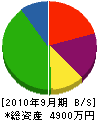 玉井造園 貸借対照表 2010年9月期