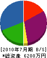 坂本造園 貸借対照表 2010年7月期