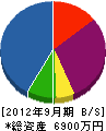 大洲電気 貸借対照表 2012年9月期