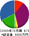 池電 貸借対照表 2009年10月期