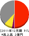 イシヅカ 損益計算書 2011年12月期