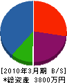 柴田電気商会 貸借対照表 2010年3月期