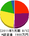井立建築店 貸借対照表 2011年5月期