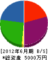 日本安全施設 貸借対照表 2012年6月期