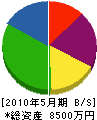 田原工業 貸借対照表 2010年5月期