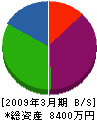 渡辺組 貸借対照表 2009年3月期