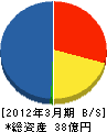 日本デジタル放送システムズ 貸借対照表 2012年3月期