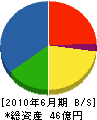 テクノ矢崎 貸借対照表 2010年6月期