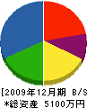 桝田建設工業 貸借対照表 2009年12月期