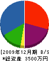 松井建設 貸借対照表 2009年12月期