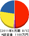 佐久間電気 貸借対照表 2011年6月期