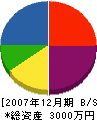 田宮建築 貸借対照表 2007年12月期