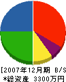 中萩電業 貸借対照表 2007年12月期