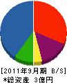 丸立渡辺組 貸借対照表 2011年9月期