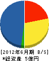 奈良造園土木 貸借対照表 2012年6月期