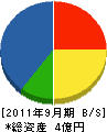 那賀川電機 貸借対照表 2011年9月期