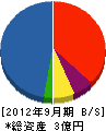 オオヤマ 貸借対照表 2012年9月期