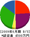 臼杵総建 貸借対照表 2009年6月期
