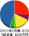 蛭田総業 貸借対照表 2011年3月期