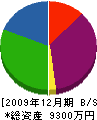 丸五 貸借対照表 2009年12月期