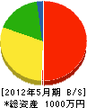 朝日清組 貸借対照表 2012年5月期