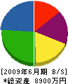 細川興業 貸借対照表 2009年6月期